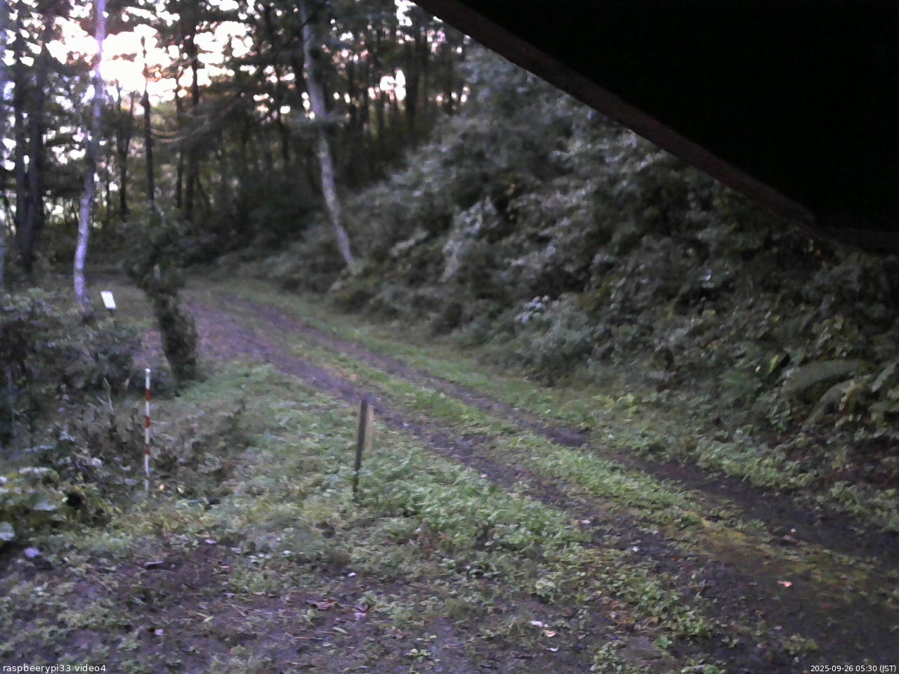 長野県菅平高原 ゆたか山荘 東側(坂下) 2025/09/26 05:30