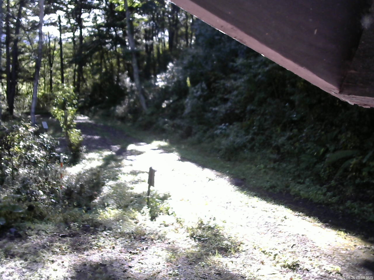 長野県菅平高原 ゆたか山荘 東側(坂下) 2025/09/26 08:00