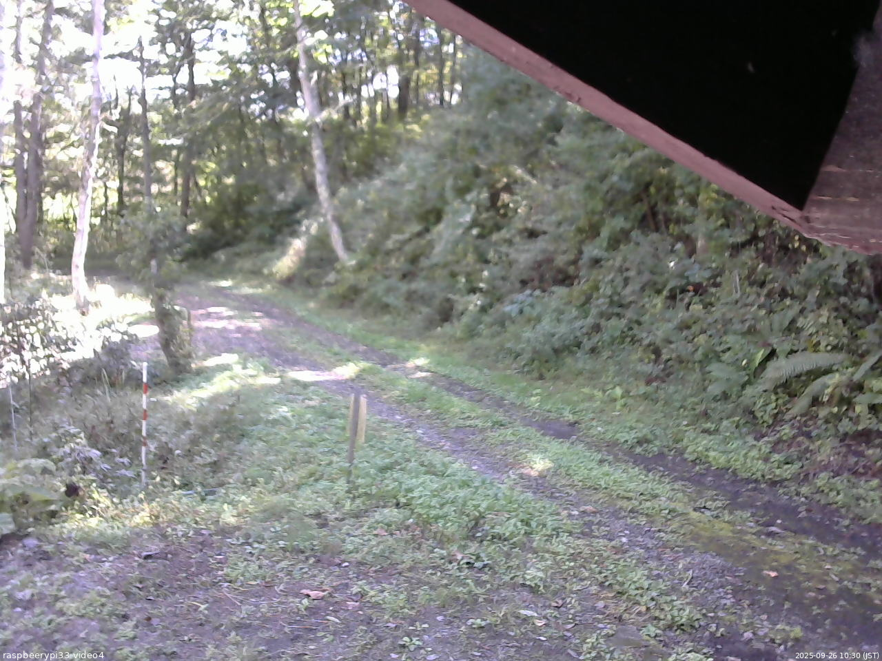 長野県菅平高原 ゆたか山荘 東側(坂下) 2025/09/26 10:30
