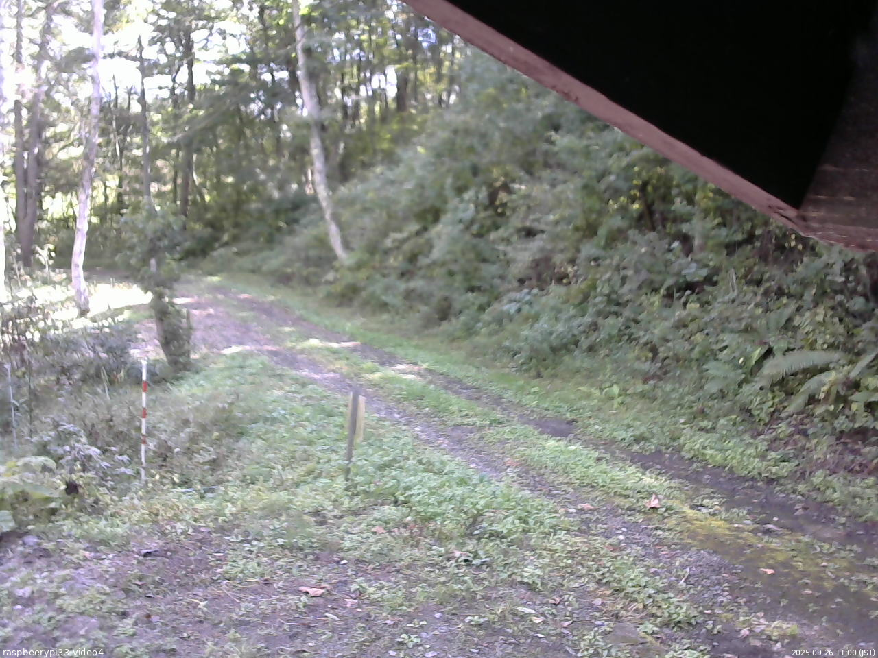 長野県菅平高原 ゆたか山荘 東側(坂下) 2025/09/26 11:00