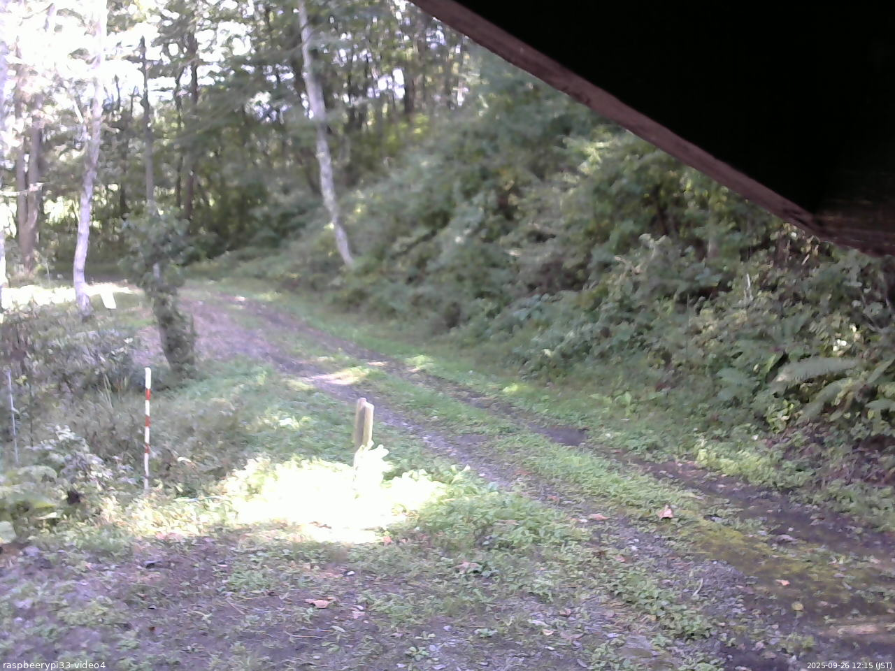 長野県菅平高原 ゆたか山荘 東側(坂下) 2025/09/26 12:15