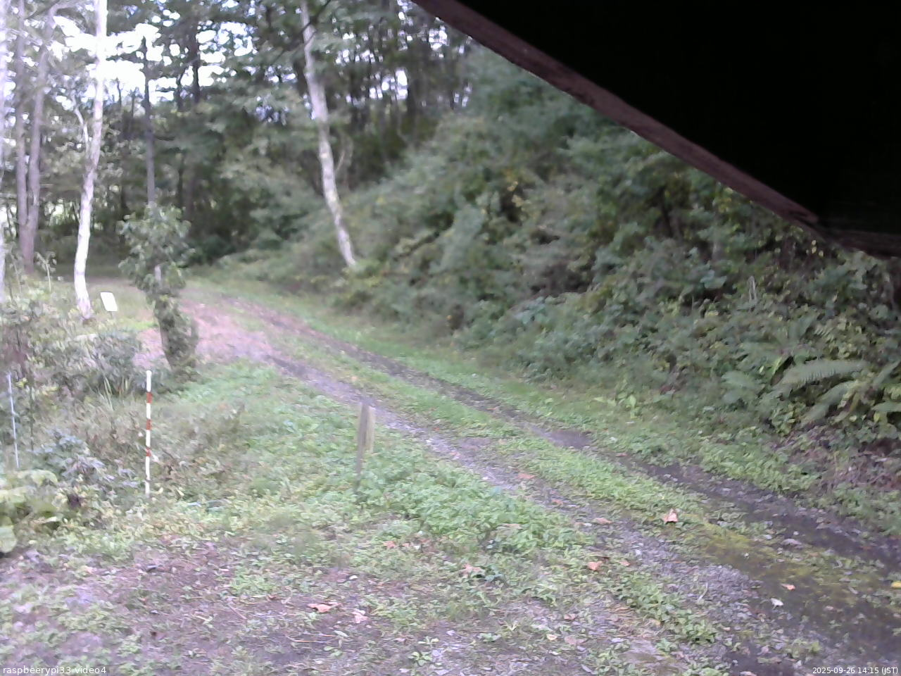 長野県菅平高原 ゆたか山荘 東側(坂下) 2025/09/26 14:15