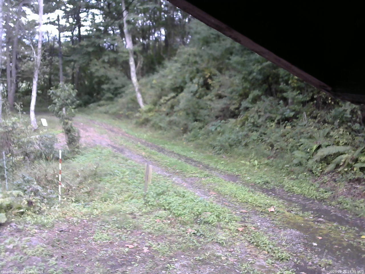 長野県菅平高原 ゆたか山荘 東側(坂下) 2025/09/26 14:30