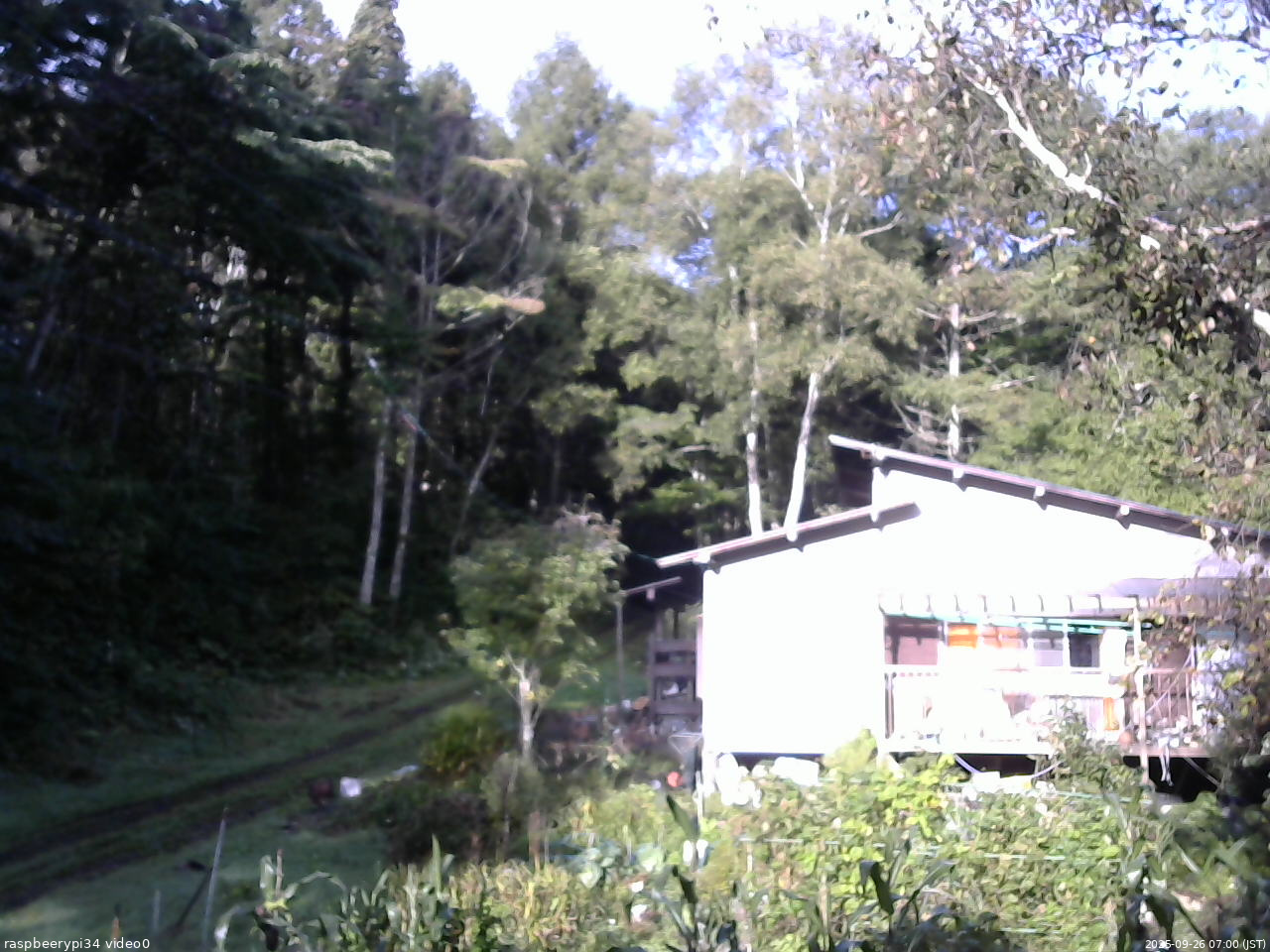 長野県菅平高原 ゆたか山荘 西側(坂上) 2025/09/26 07:00