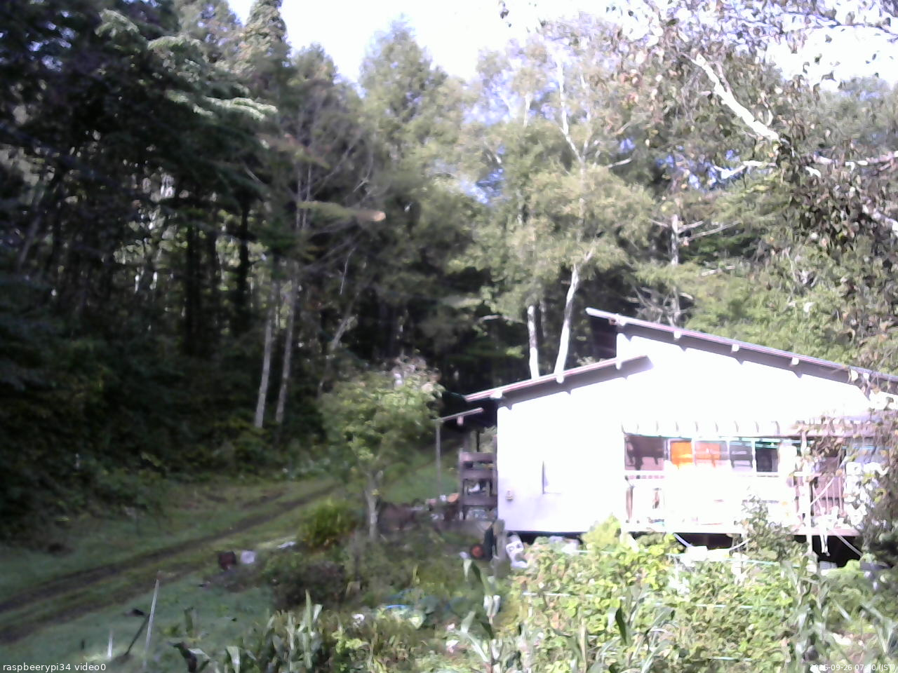 長野県菅平高原 ゆたか山荘 西側(坂上) 2025/09/26 07:30