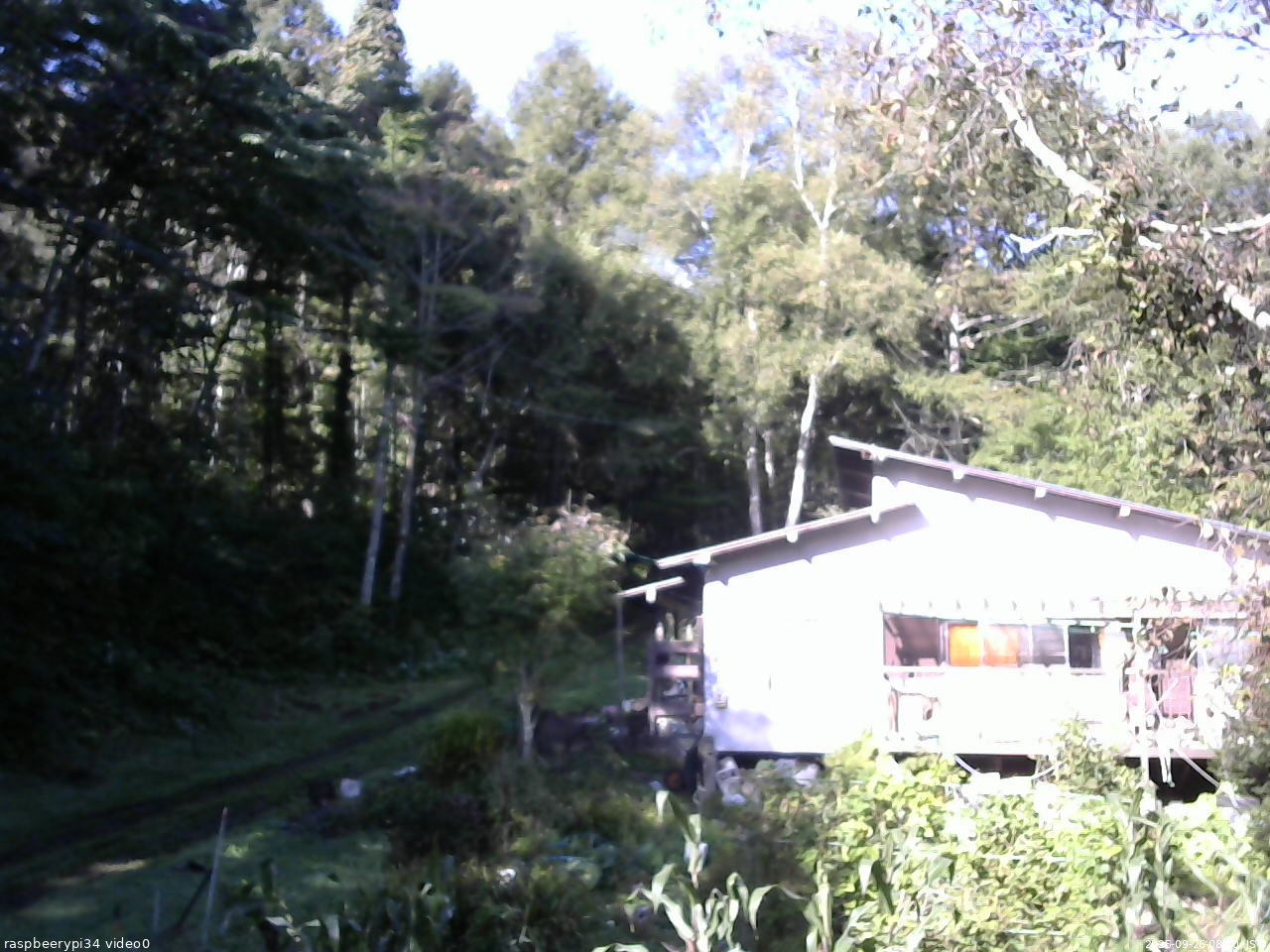 長野県菅平高原 ゆたか山荘 西側(坂上) 2025/09/26 08:00