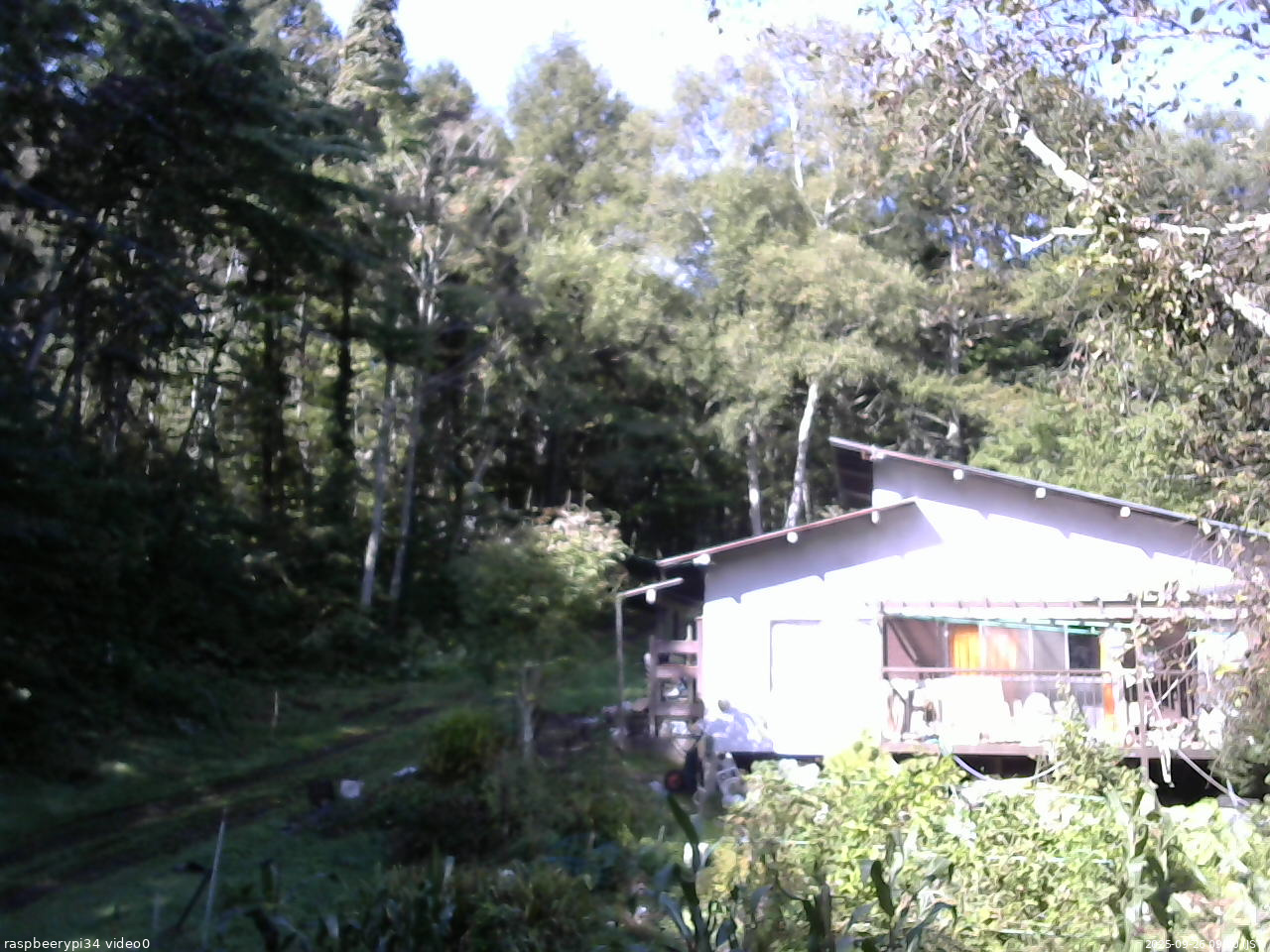 長野県菅平高原 ゆたか山荘 西側(坂上) 2025/09/26 09:00