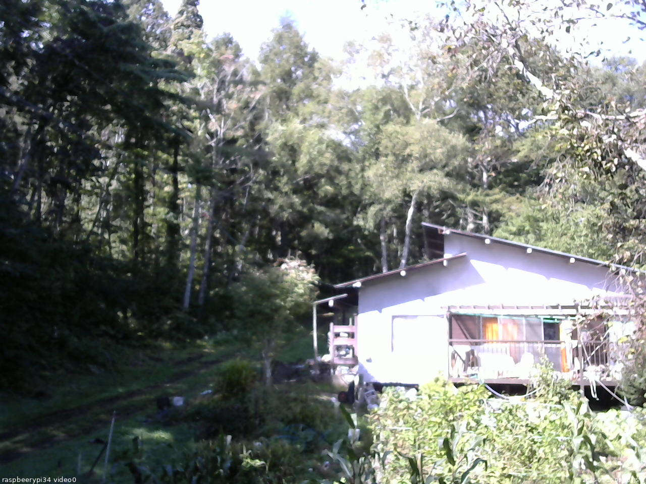 長野県菅平高原 ゆたか山荘 西側(坂上) 2025/09/26 09:30