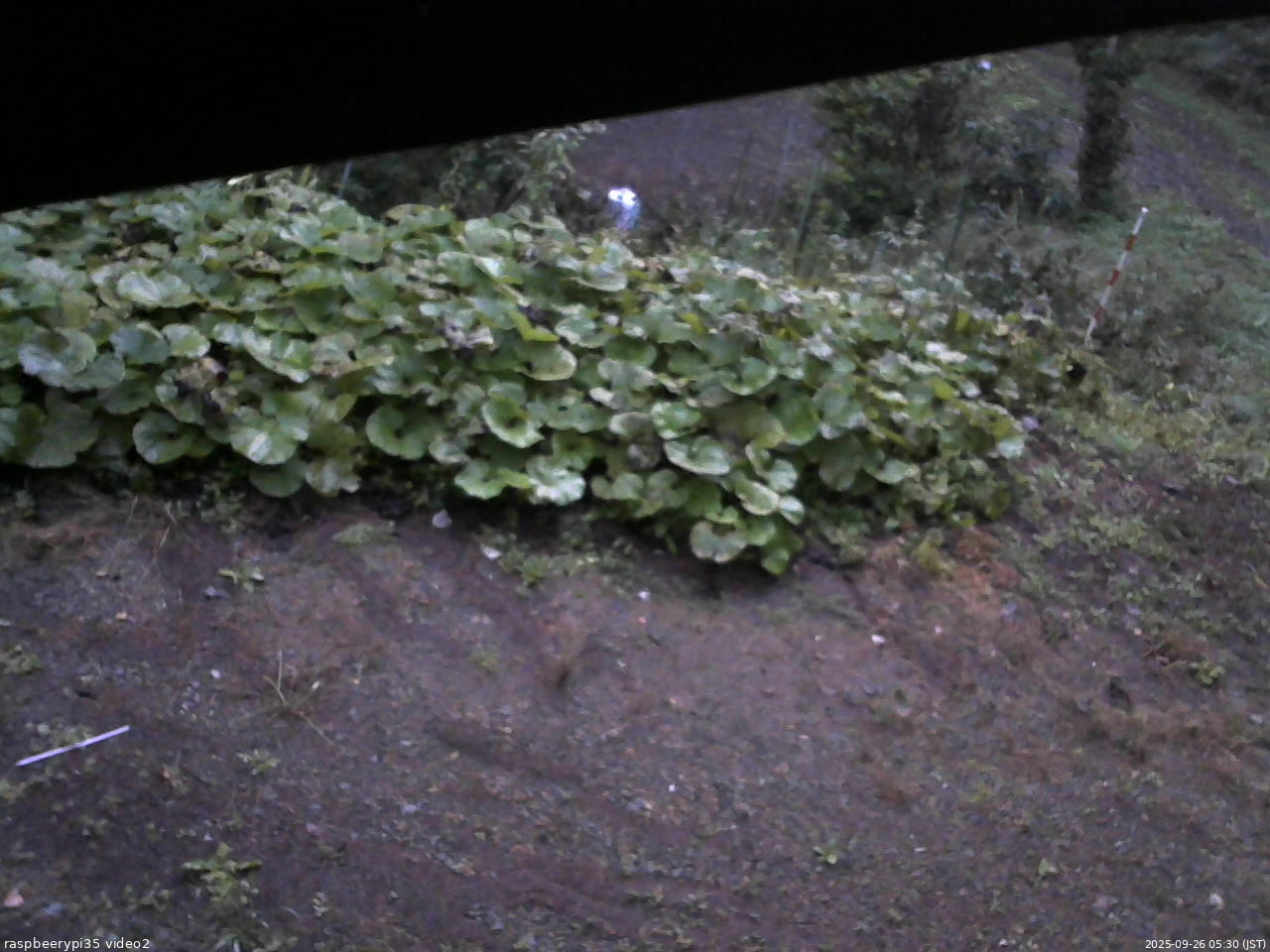 長野県菅平高原 ゆたか山荘 駐車場 2025/09/26 05:30