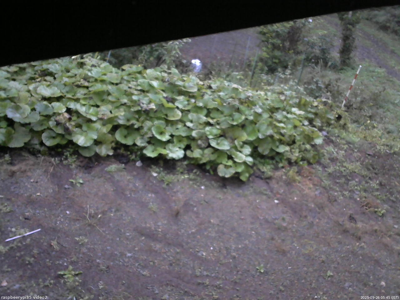 長野県菅平高原 ゆたか山荘 駐車場 2025/09/26 05:45