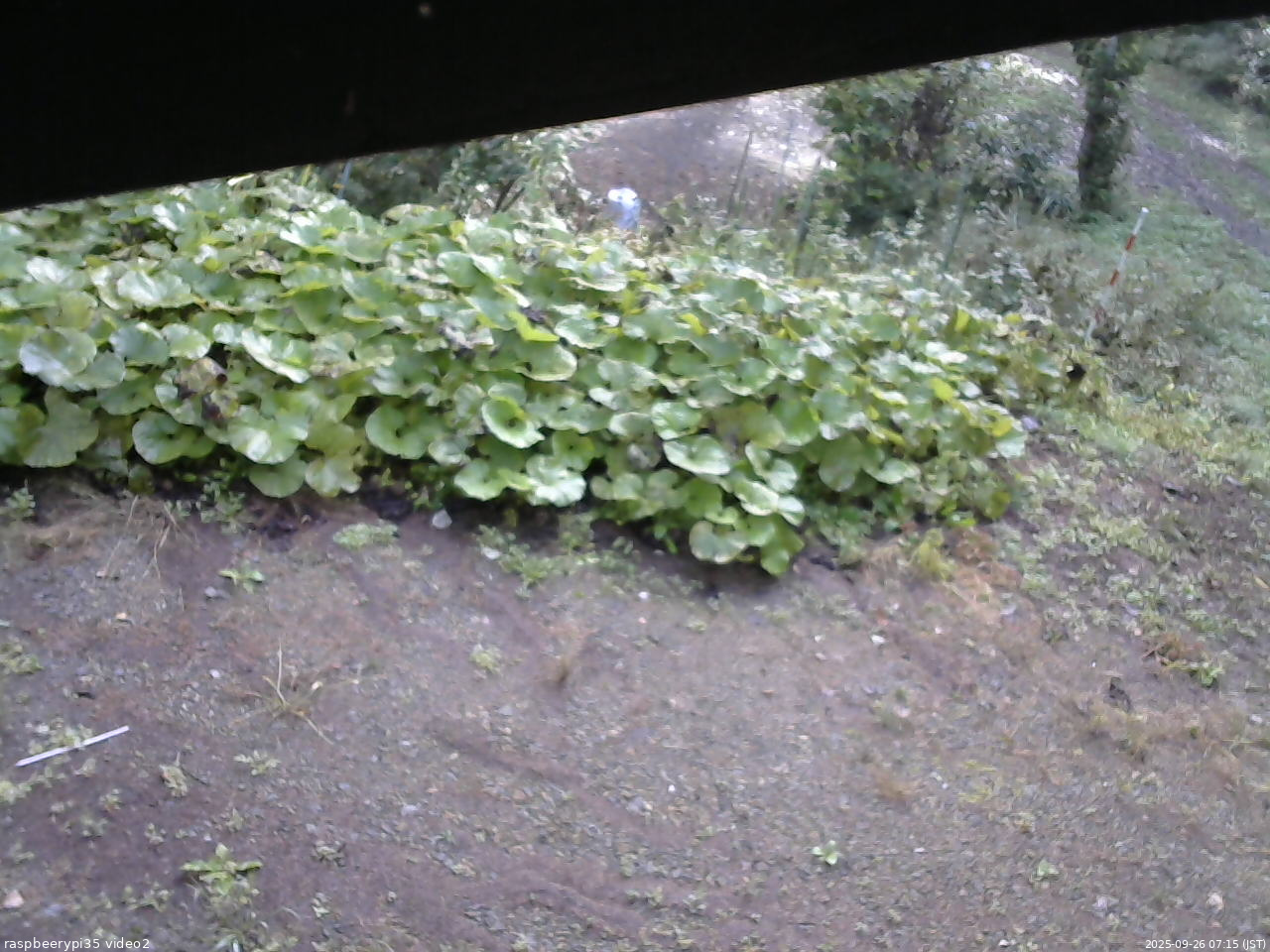 長野県菅平高原 ゆたか山荘 駐車場 2025/09/26 07:15
