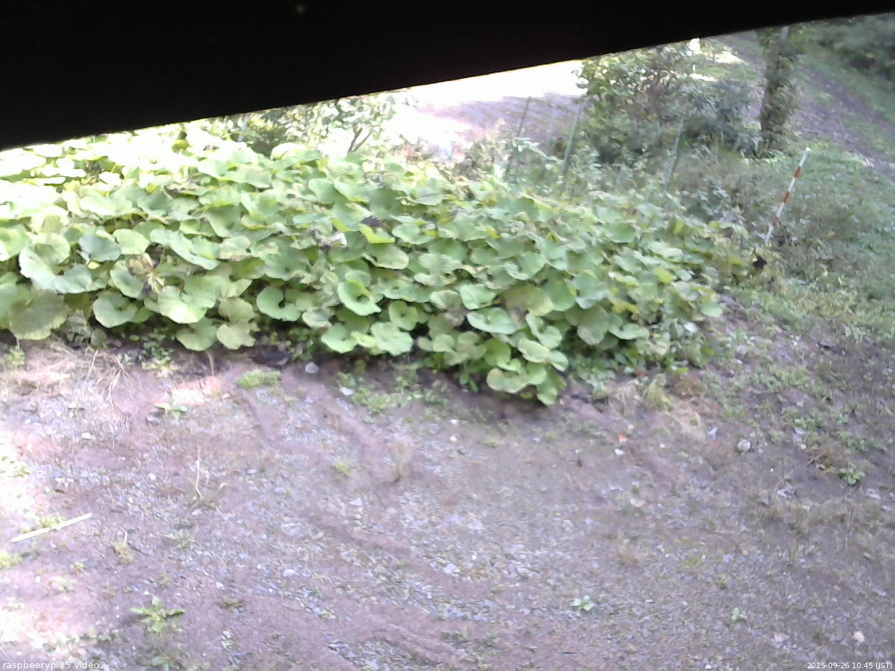 長野県菅平高原 ゆたか山荘 駐車場 2025/09/26 10:45