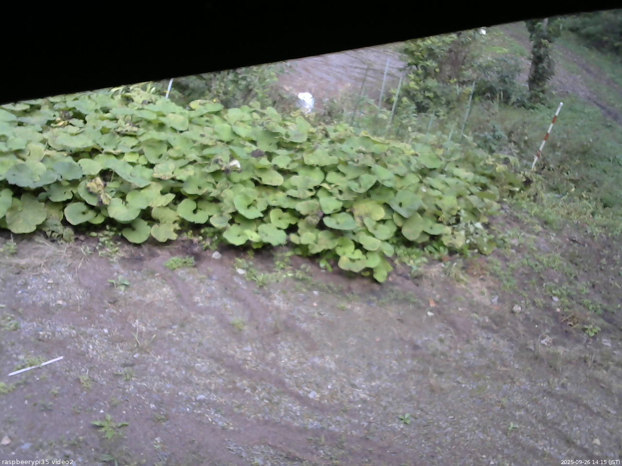 長野県菅平高原 ゆたか山荘 駐車場 2025/09/26 14:15