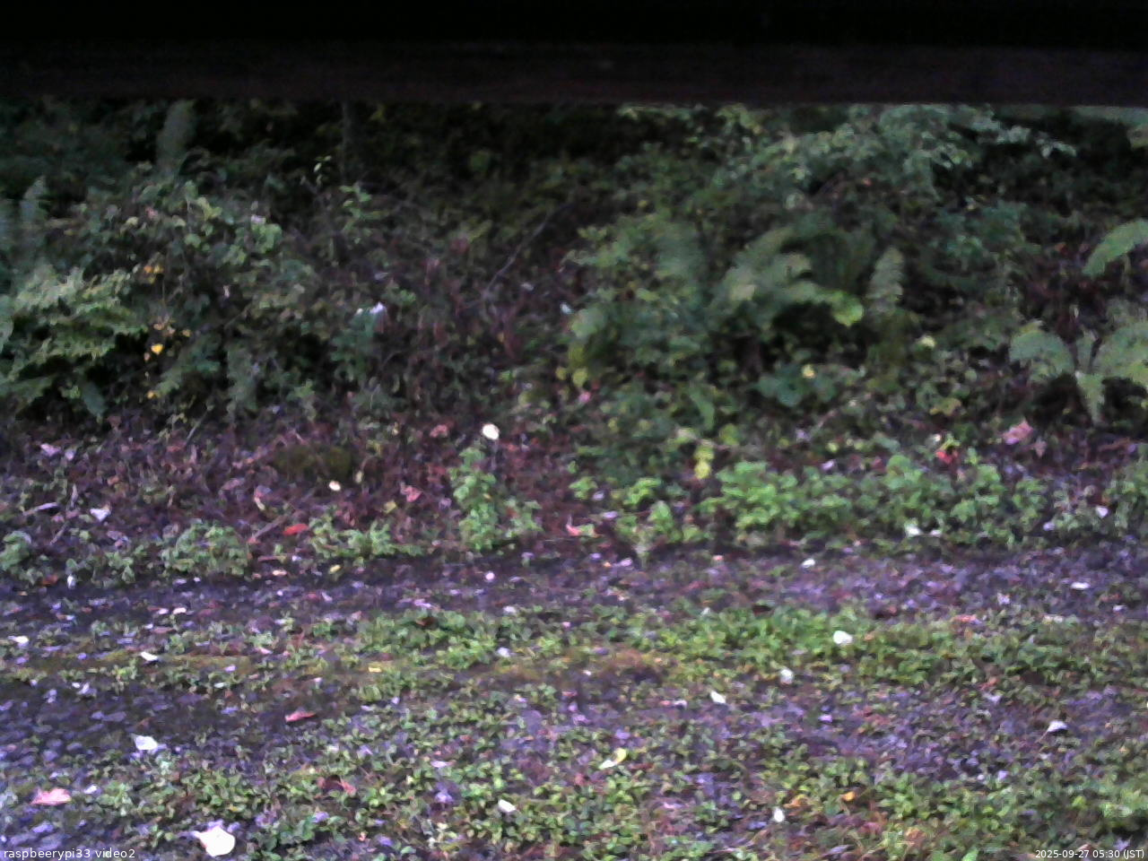 長野県菅平高原 ゆたか山荘 南側 2025/09/27 05:30