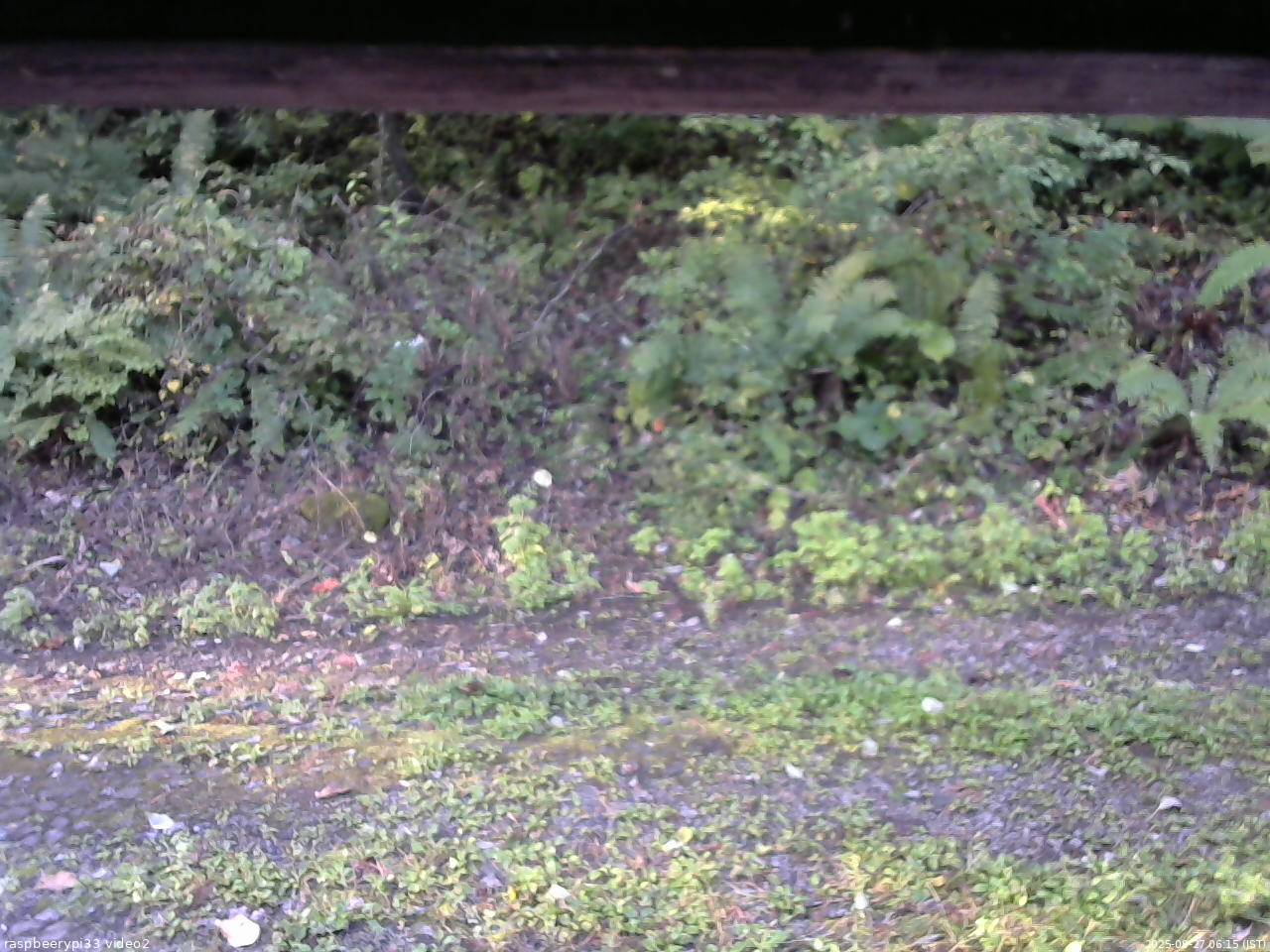 長野県菅平高原 ゆたか山荘 南側 2025/09/27 06:15