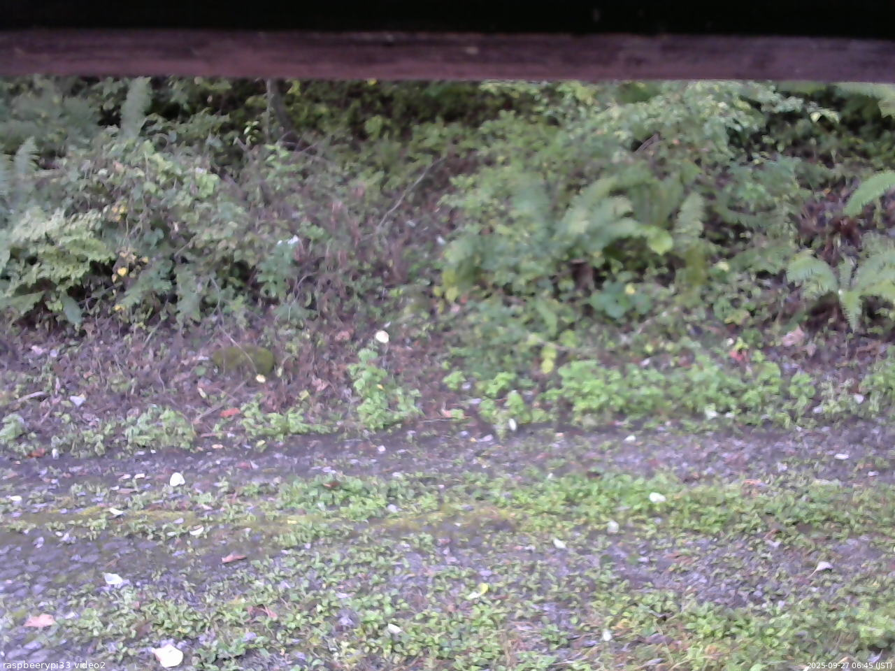 長野県菅平高原 ゆたか山荘 南側 2025/09/27 06:45