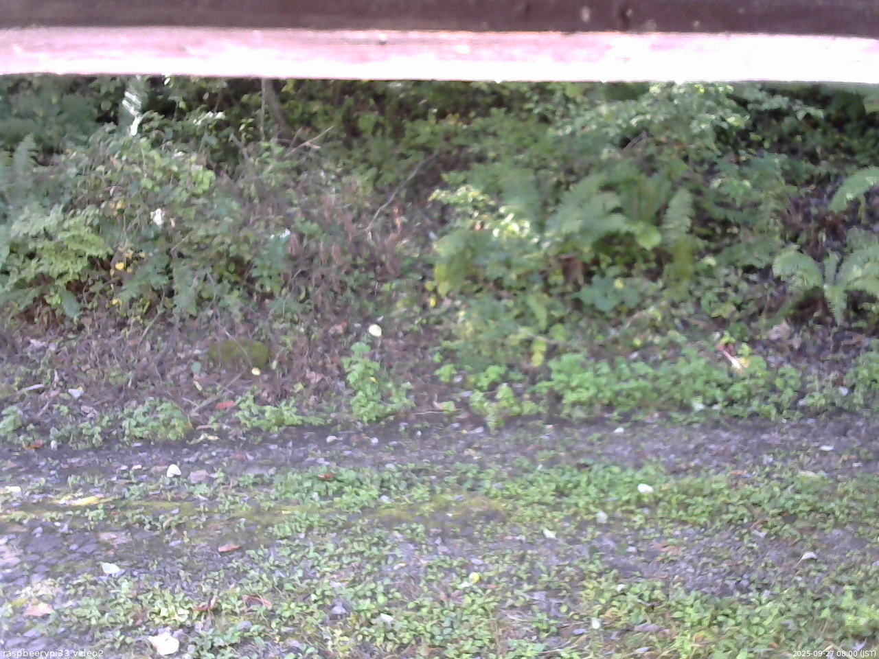 長野県菅平高原 ゆたか山荘 南側 2025/09/27 08:00