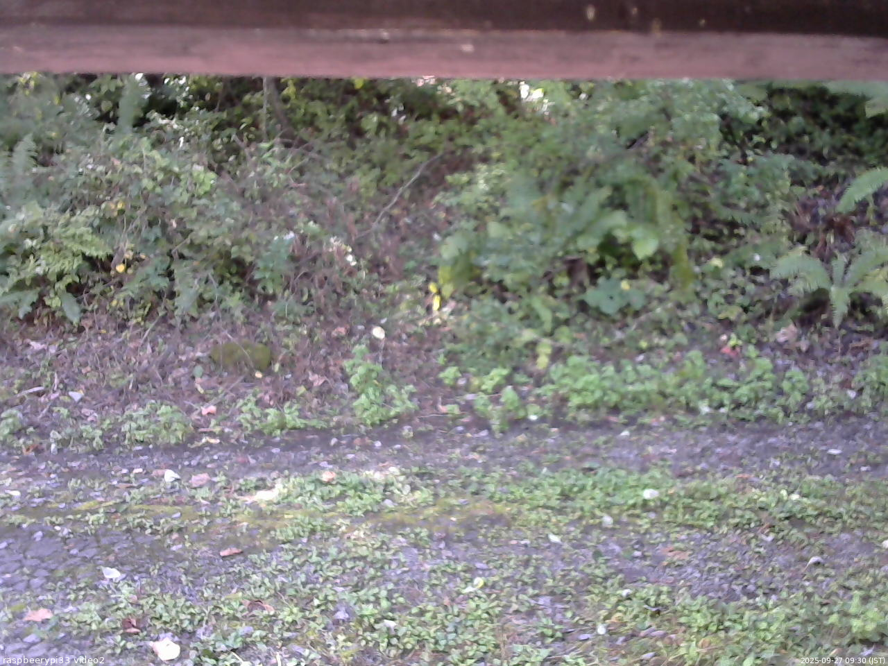 長野県菅平高原 ゆたか山荘 南側 2025/09/27 09:30