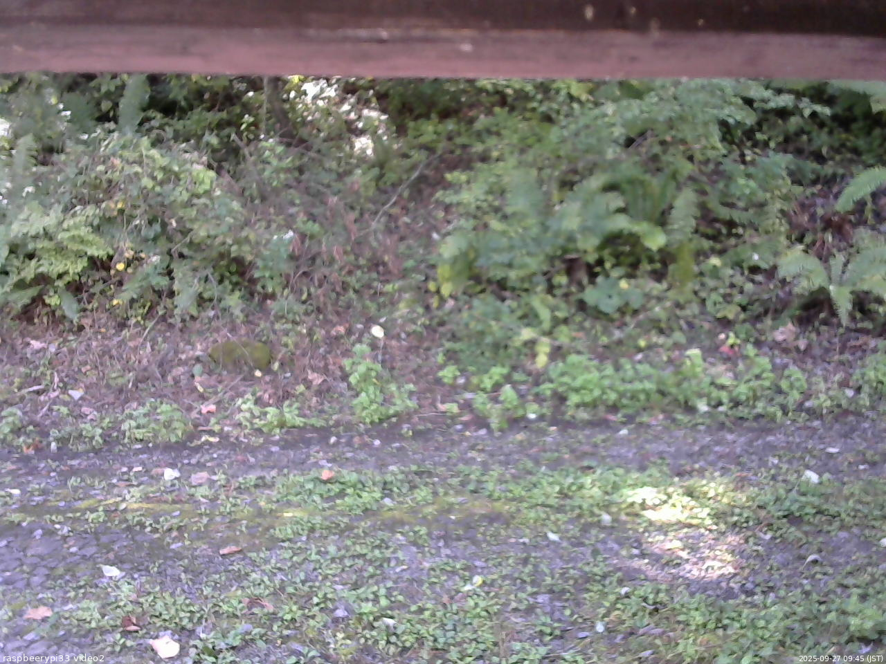 長野県菅平高原 ゆたか山荘 南側 2025/09/27 09:45