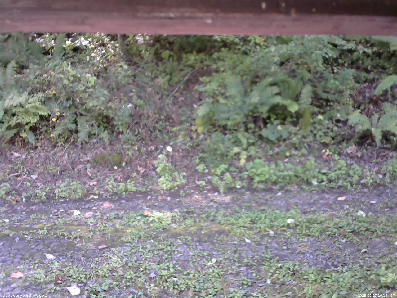 長野県菅平高原 ゆたか山荘 南側 2025/09/27 10:15