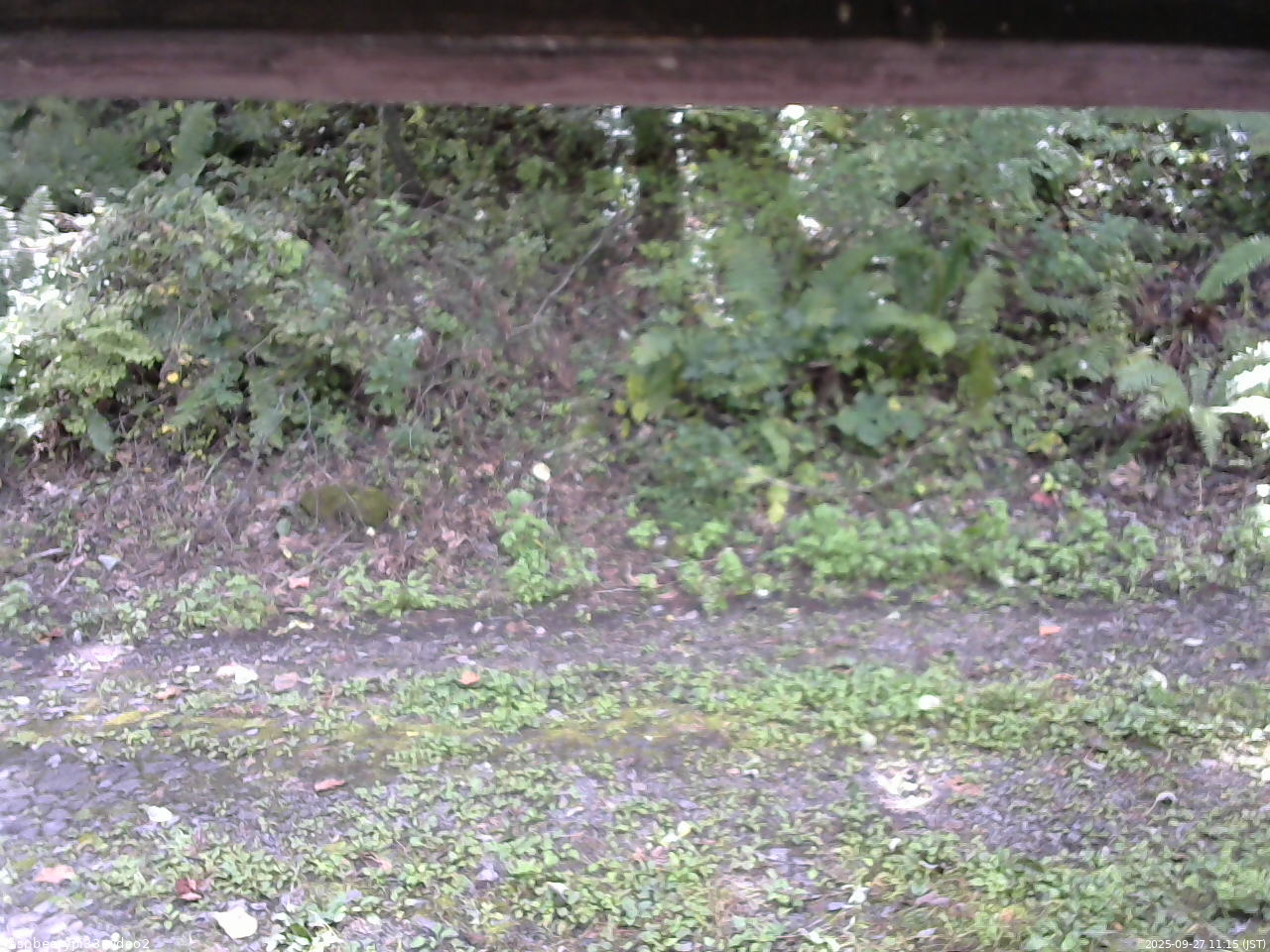 長野県菅平高原 ゆたか山荘 南側 2025/09/27 11:15