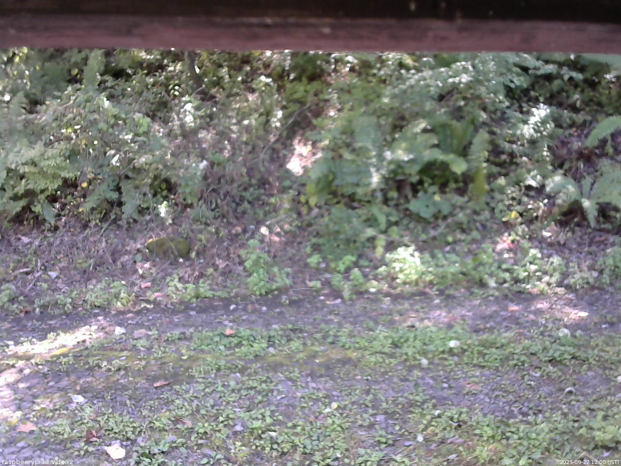 長野県菅平高原 ゆたか山荘 南側 2025/09/27 12:00
