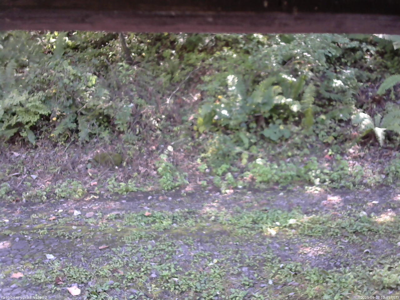 長野県菅平高原 ゆたか山荘 南側 2025/09/27 12:45