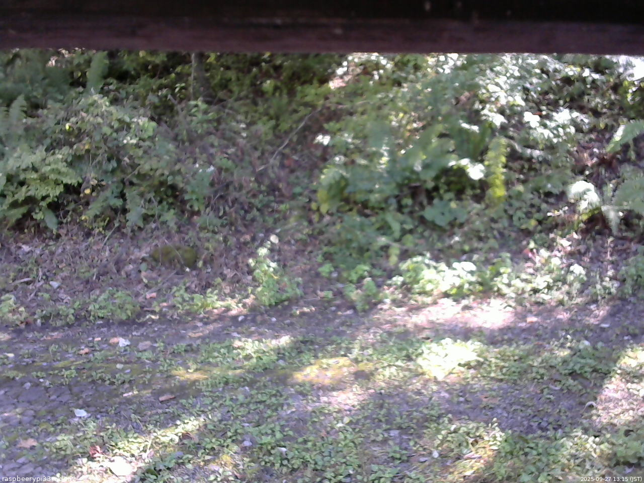 長野県菅平高原 ゆたか山荘 南側 2025/09/27 13:15