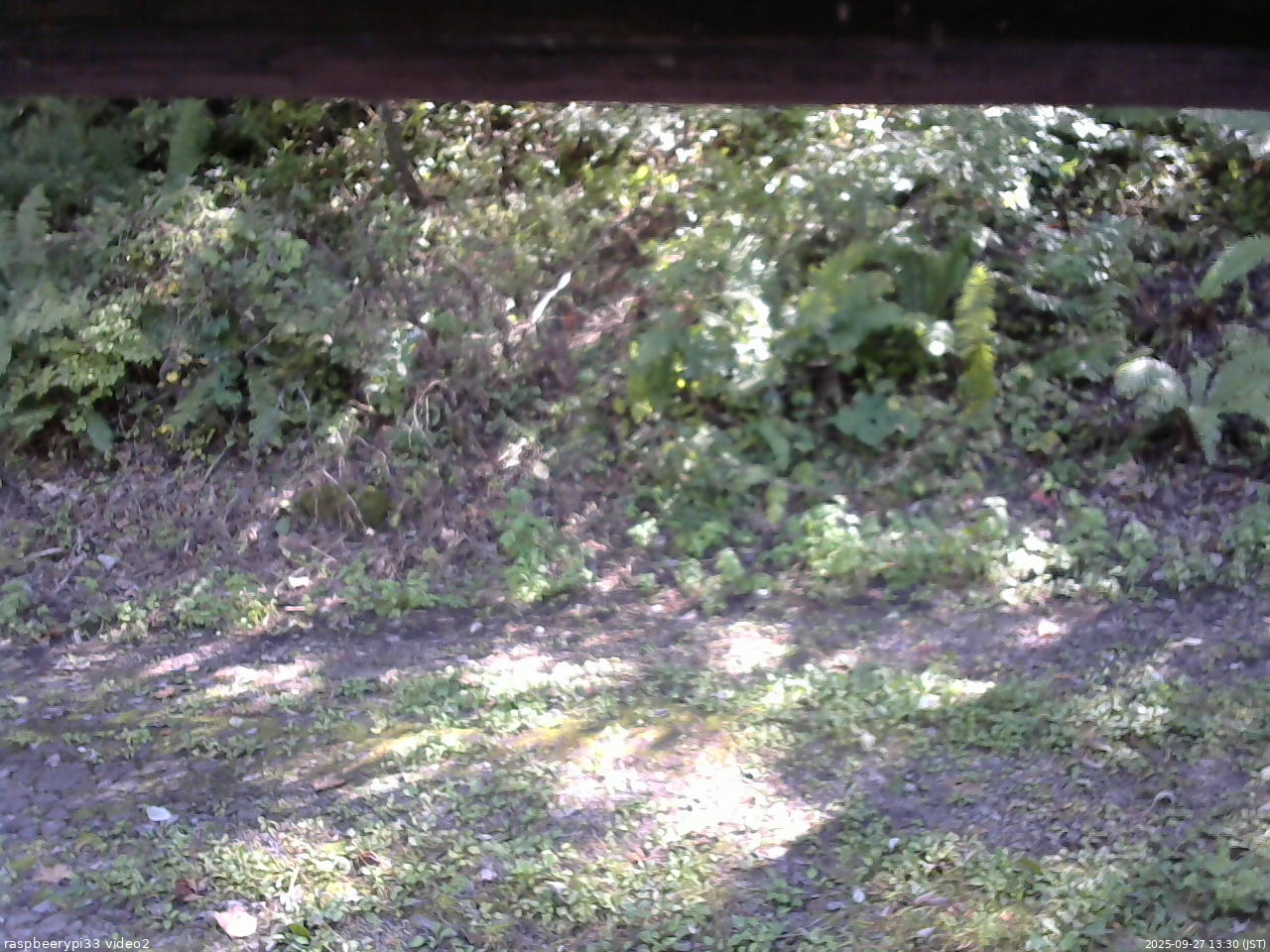 長野県菅平高原 ゆたか山荘 南側 2025/09/27 13:30
