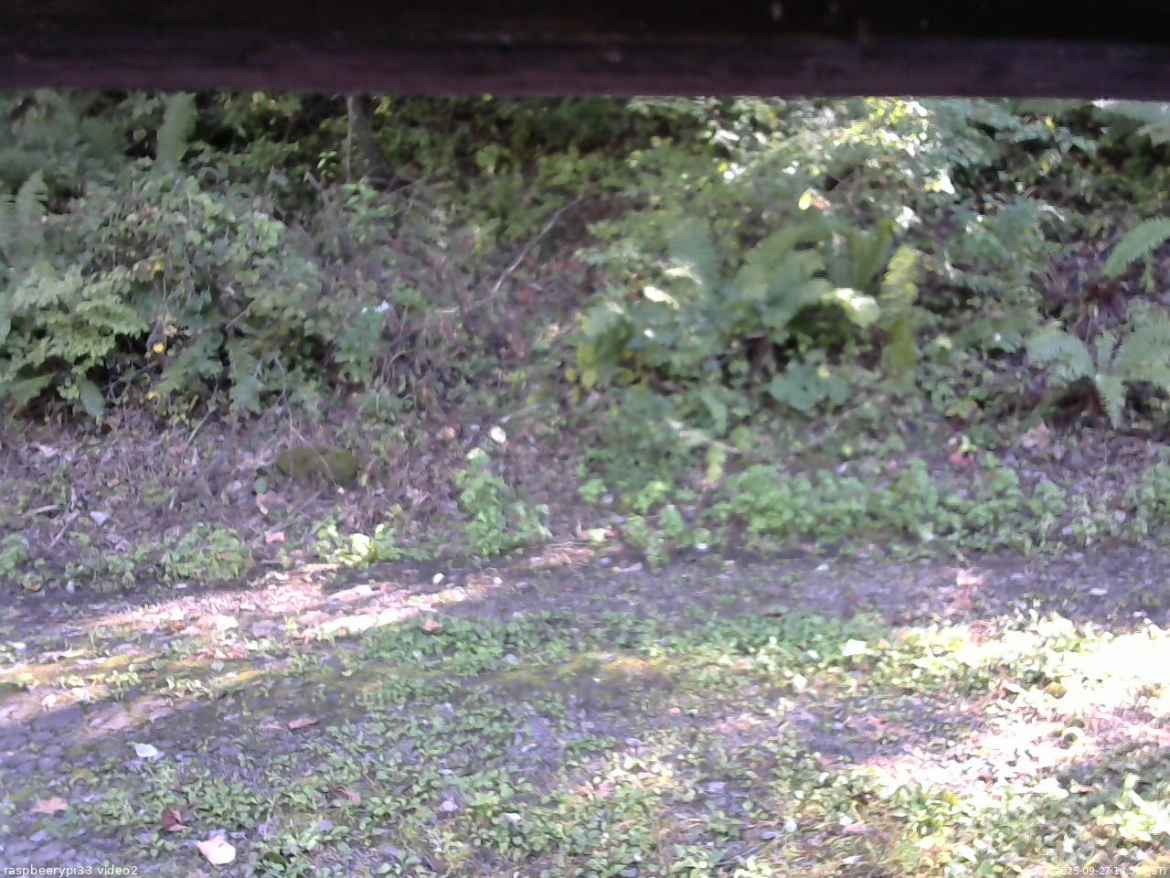 長野県菅平高原 ゆたか山荘 南側 2025/09/27 14:30