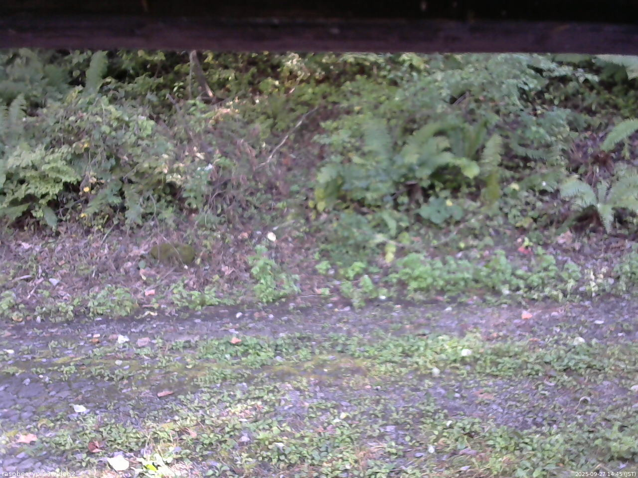 長野県菅平高原 ゆたか山荘 南側 2025/09/27 14:45