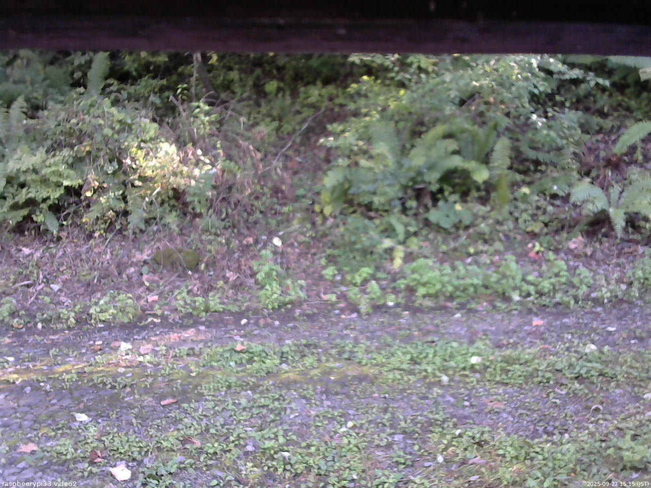 長野県菅平高原 ゆたか山荘 南側 2025/09/27 15:15