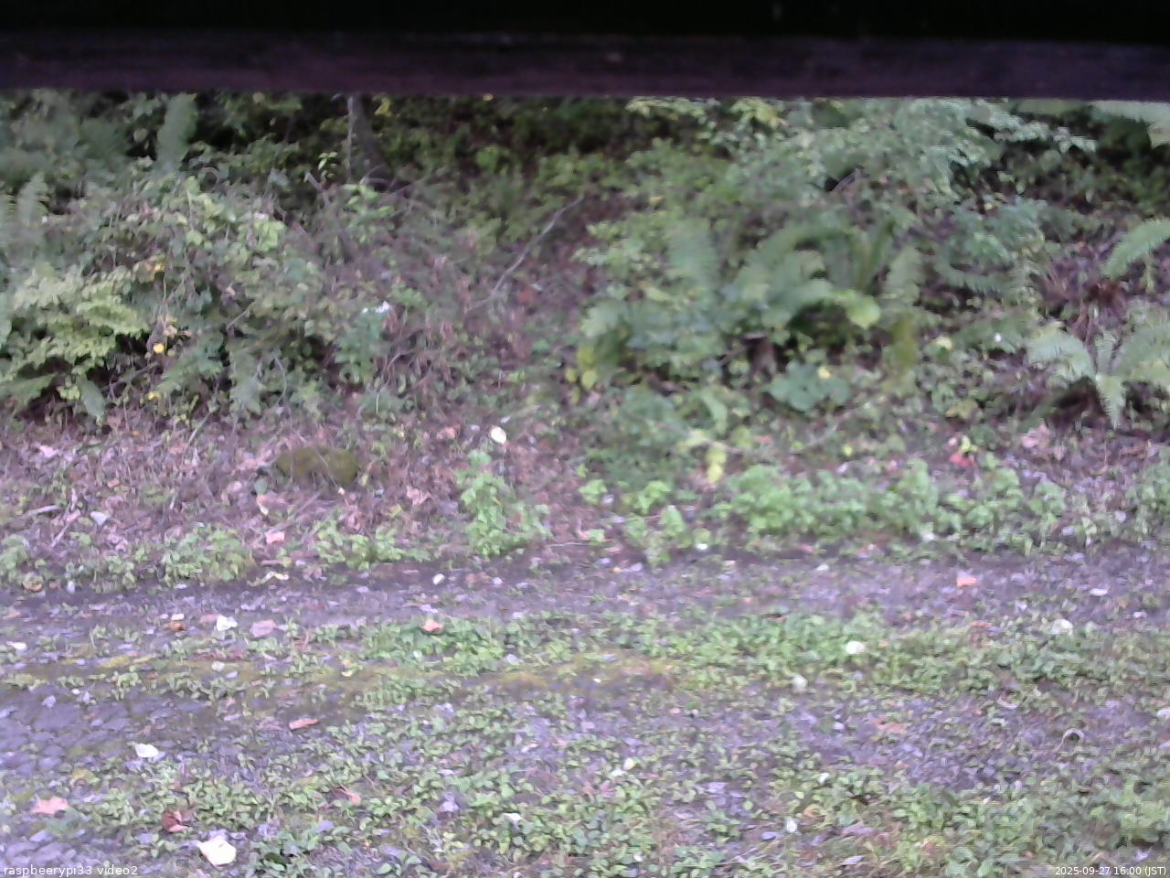 長野県菅平高原 ゆたか山荘 南側 2025/09/27 16:00