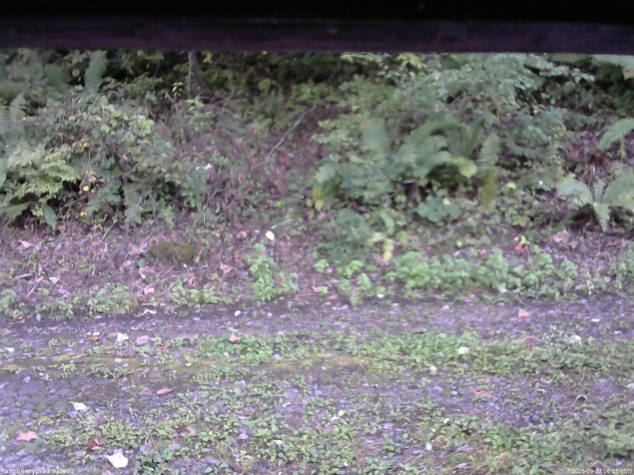 長野県菅平高原 ゆたか山荘 南側 2025/09/27 16:15