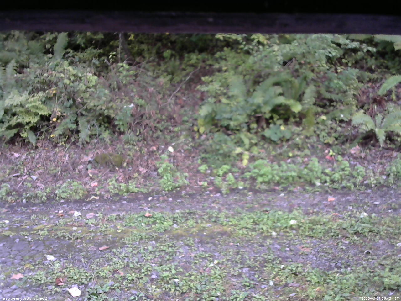 長野県菅平高原 ゆたか山荘 南側 2025/09/27 16:45