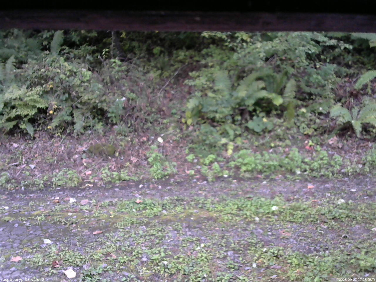 長野県菅平高原 ゆたか山荘 南側 2025/09/27 17:15