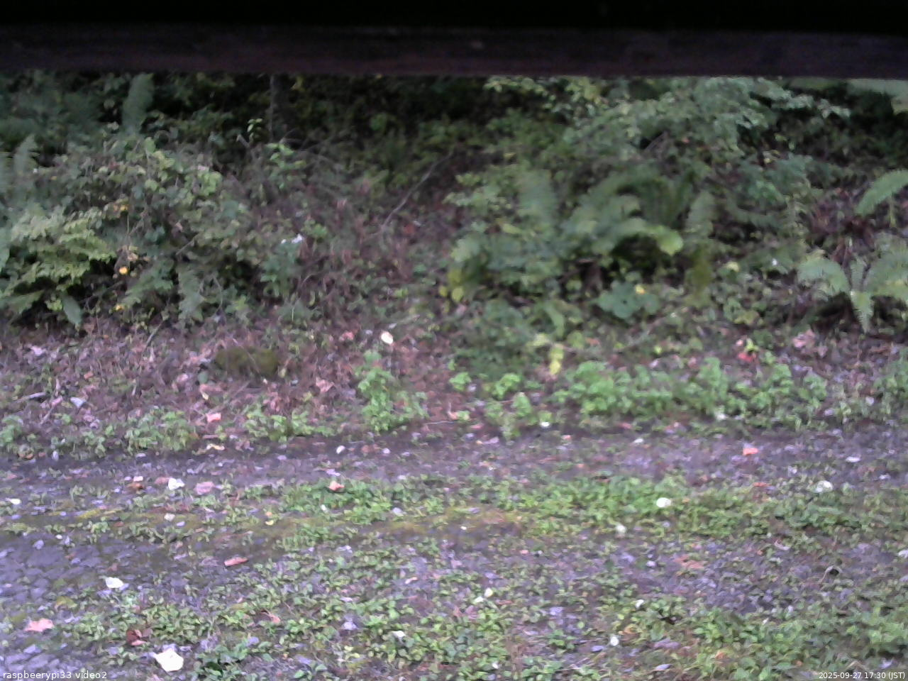 長野県菅平高原 ゆたか山荘 南側 2025/09/27 17:30