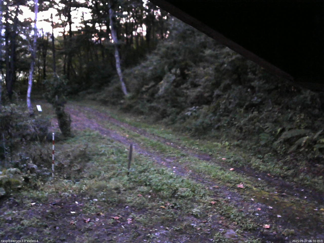 長野県菅平高原 ゆたか山荘 東側(坂下) 2025/09/27 05:30