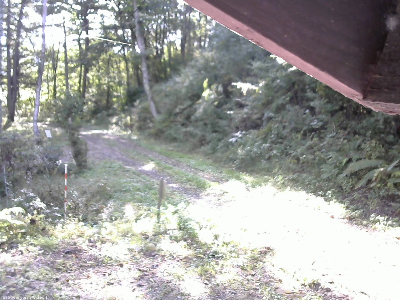 長野県菅平高原 ゆたか山荘 東側(坂下) 2025/09/27 07:30