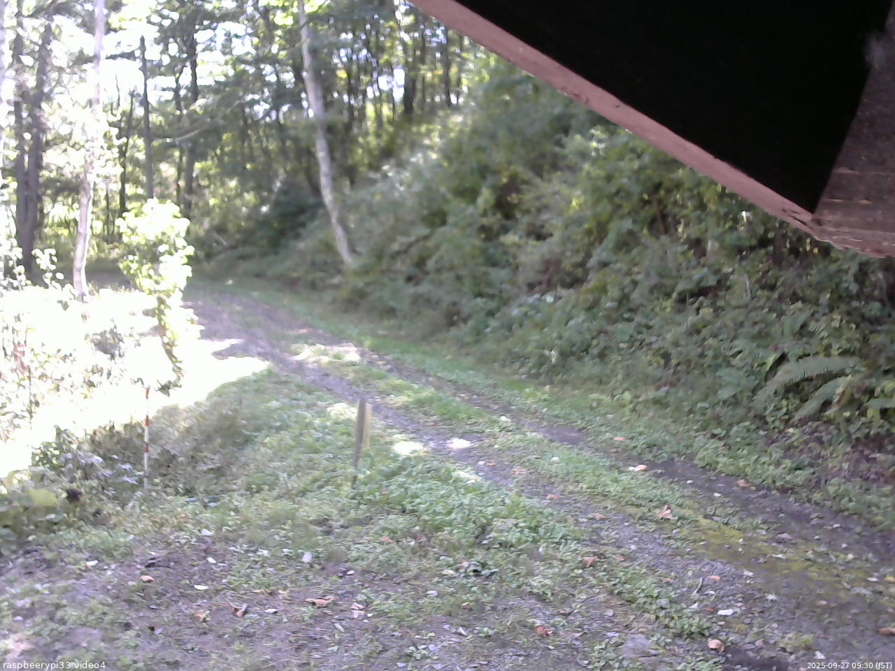 長野県菅平高原 ゆたか山荘 東側(坂下) 2025/09/27 09:30
