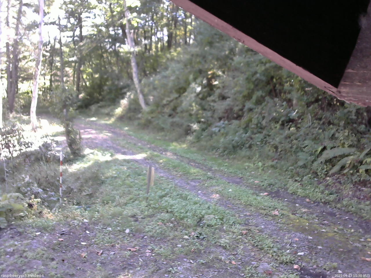 長野県菅平高原 ゆたか山荘 東側(坂下) 2025/09/27 10:30
