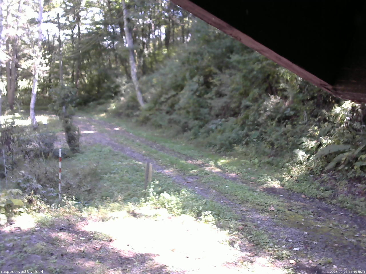 長野県菅平高原 ゆたか山荘 東側(坂下) 2025/09/27 11:45