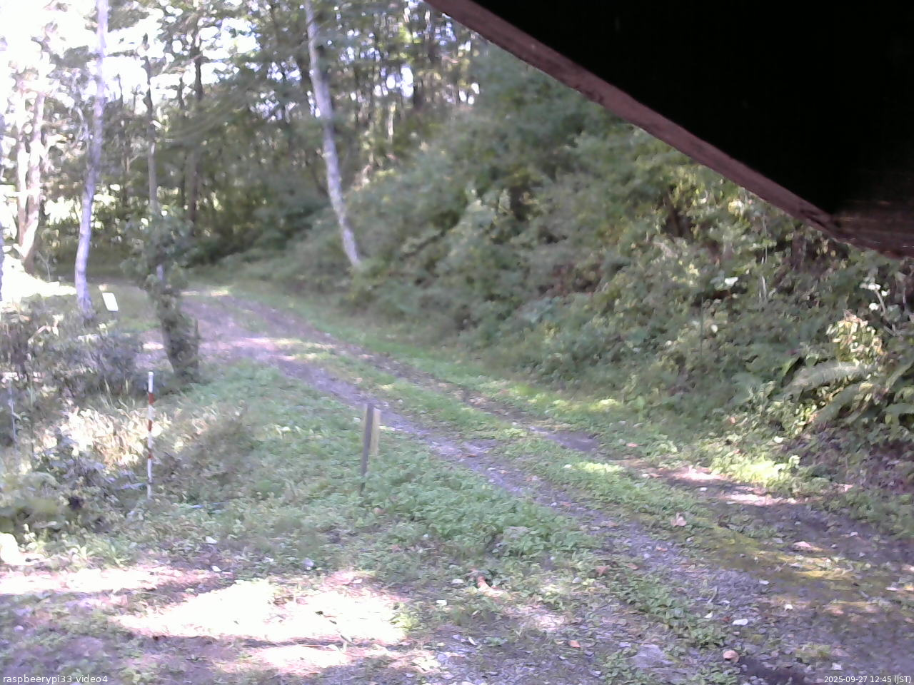 長野県菅平高原 ゆたか山荘 東側(坂下) 2025/09/27 12:45
