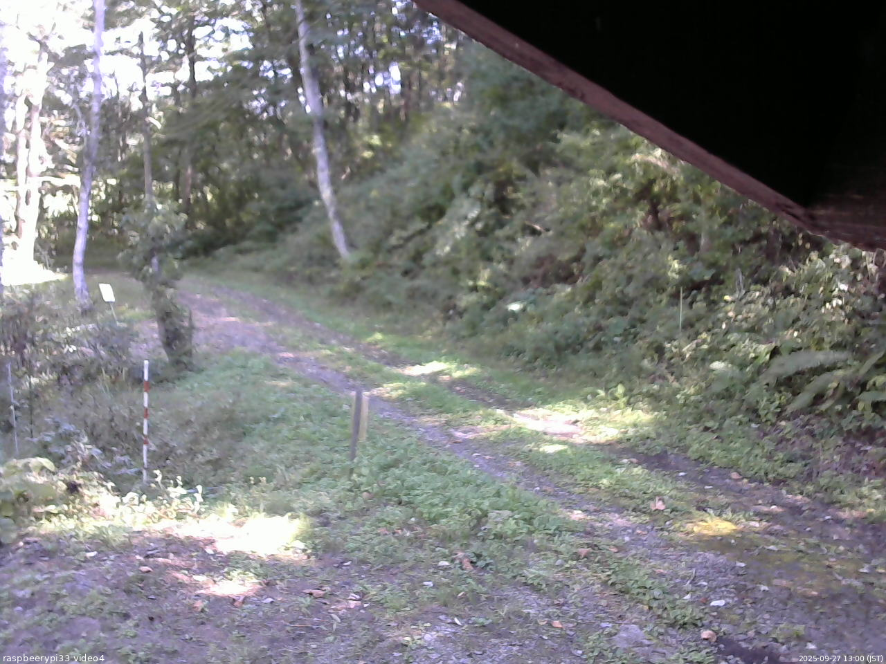 長野県菅平高原 ゆたか山荘 東側(坂下) 2025/09/27 13:00