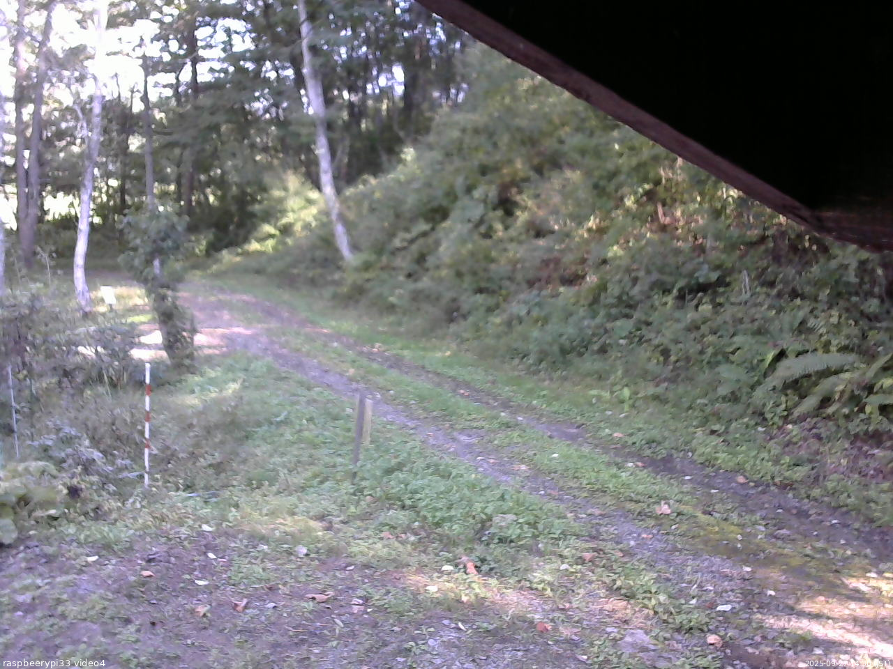 長野県菅平高原 ゆたか山荘 東側(坂下) 2025/09/27 14:30