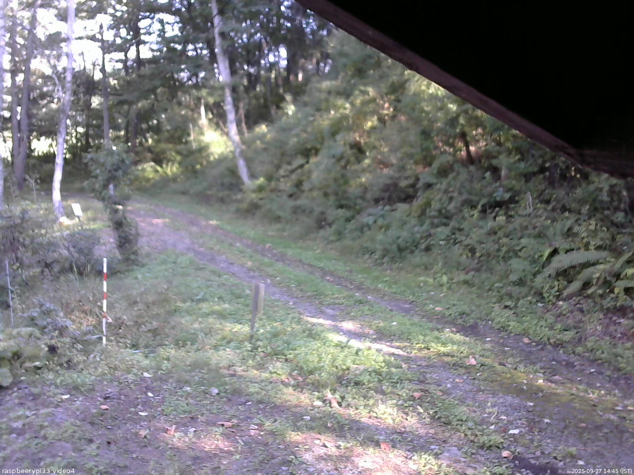 長野県菅平高原 ゆたか山荘 東側(坂下) 2025/09/27 14:45