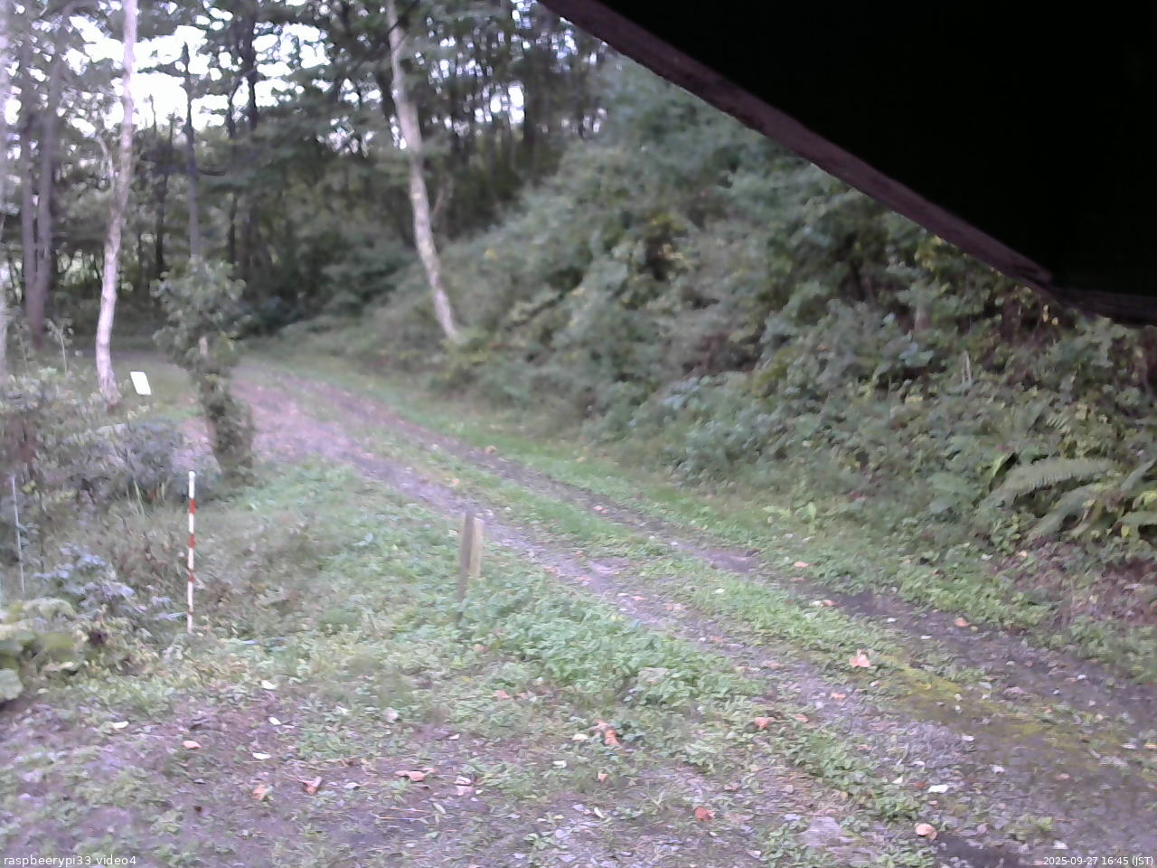 長野県菅平高原 ゆたか山荘 東側(坂下) 2025/09/27 16:45