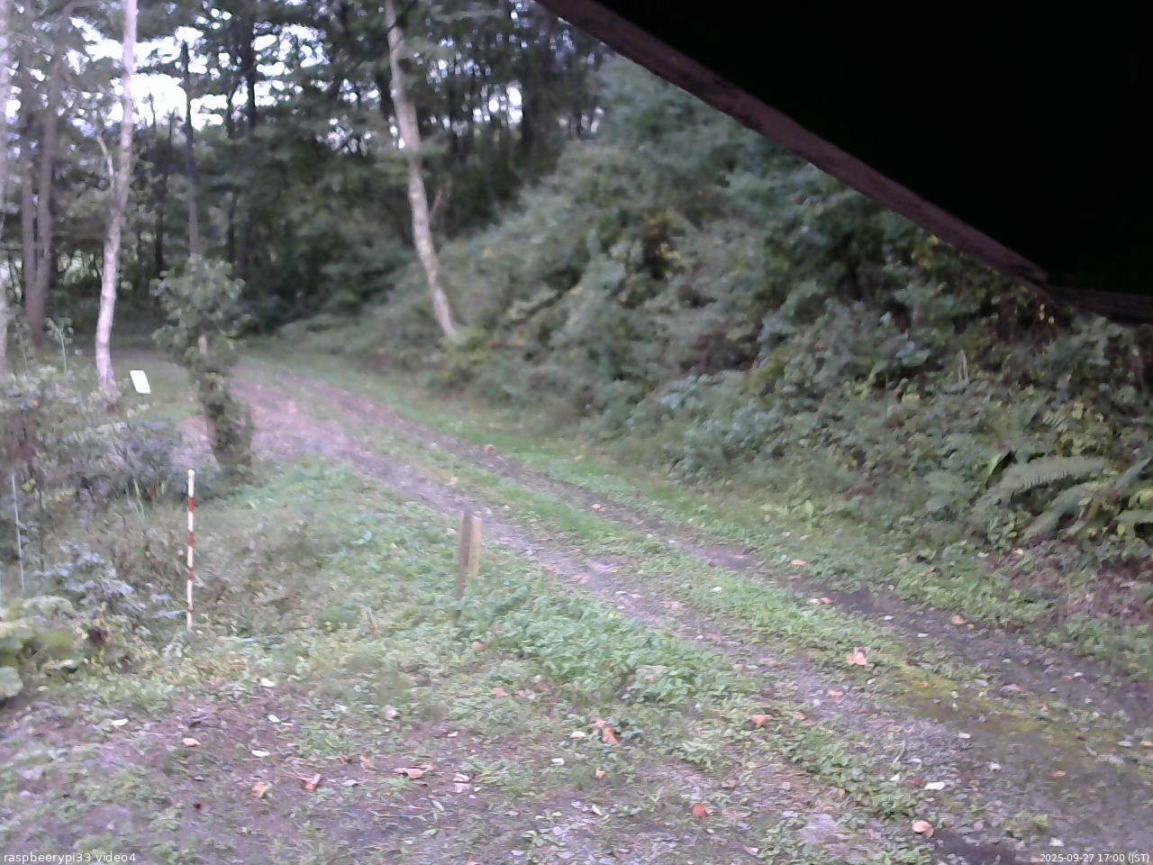 長野県菅平高原 ゆたか山荘 東側(坂下) 2025/09/27 17:00