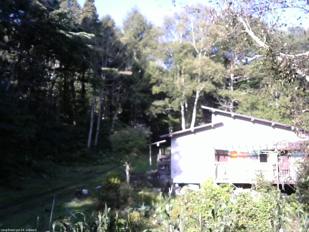 長野県菅平高原 ゆたか山荘 西側(坂上) 2025/09/27 07:15