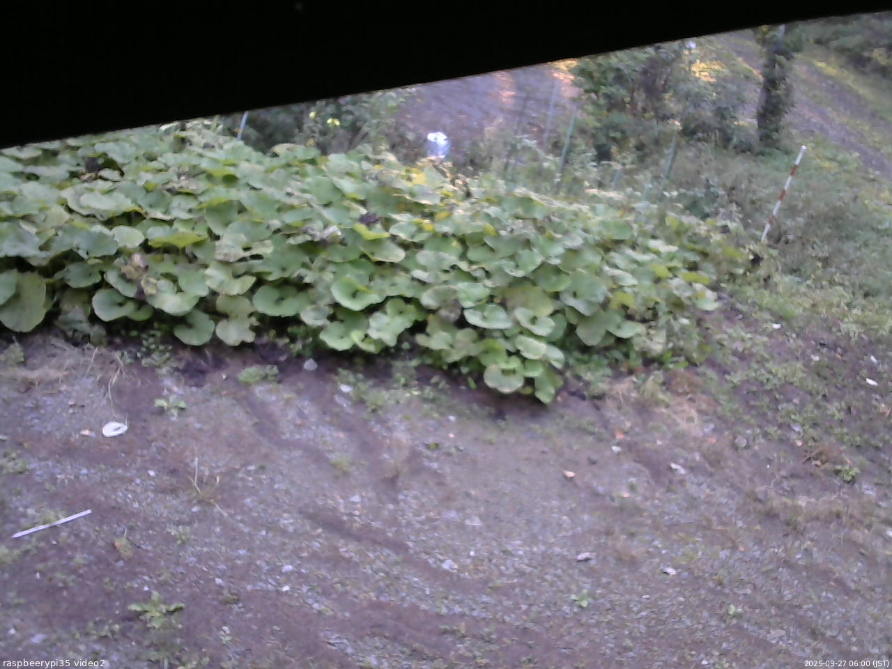 長野県菅平高原 ゆたか山荘 駐車場 2025/09/27 06:00